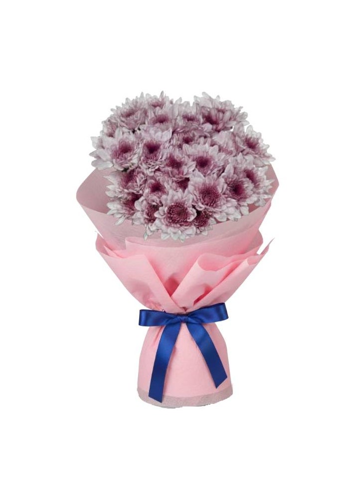 Chrysanthemum , Malibu Pink - 05 stems, Kenya