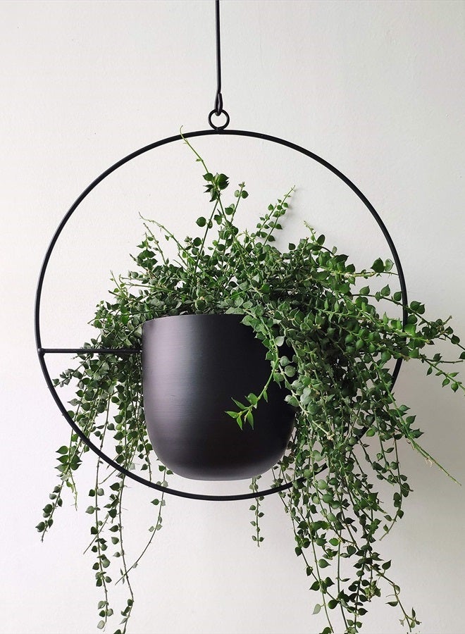 RISEON Boho Black Metal Plant Hanger,Metal Wall and Ceiling Hanging Planter, Modern Planter, Mid Century Flower Pot Plant Holder, Minimalist Planter for Indoor Outdoor Home Decor  - Image 1