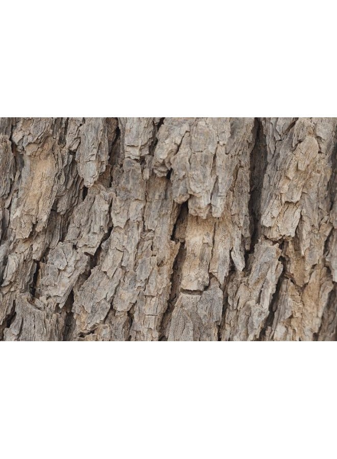 RUKDA® Organic Neem Bark/Neem ki Chaal/Azadirachta Indica/Natural Neem Chhal/Neem Chaal/Neem Bark/Nimbaka/Veppam pattai (200 gm) - Image 3