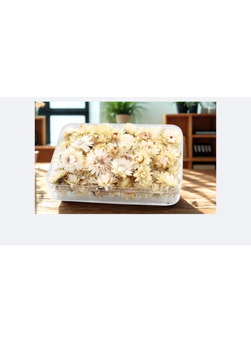 FANCY FLOWERS Dried Helichrysum Flowers, Natural Assorted White Pink Yellow, 50 Bundle, Gift Box, 40g (WHITE, SMALL) - Image 1