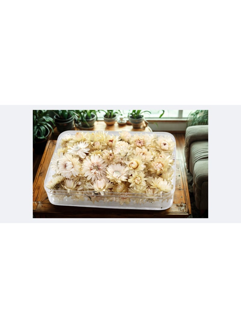 FANCY FLOWERS Dried Helichrysum Flowers, Natural Assorted White Pink Yellow, 50 Bundle, Gift Box, 40g (WHITE, SMALL) - Image 2