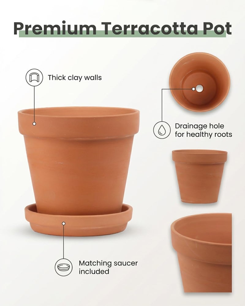 Riseuvo 6 Inch Terracotta Pots with Saucers â€“ 4 Pack Medium Clay Flower Pots with Drainage Holeï¼ŒClay Pot for Succulents, Cactus and Indoor Plants, Wedding Favors - Image 2