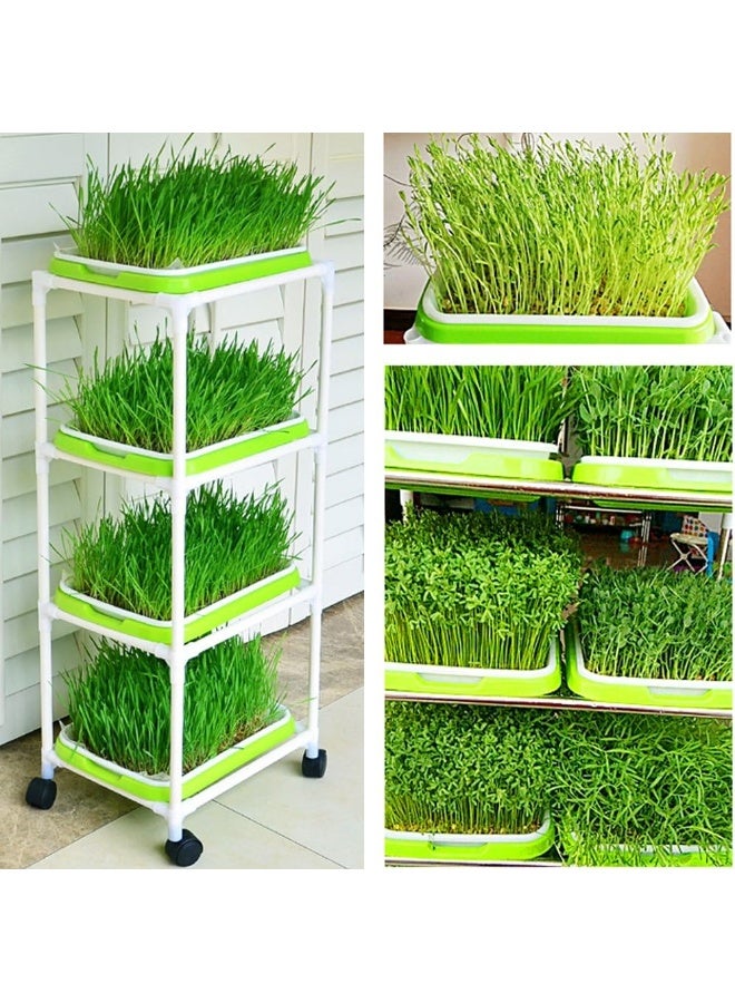 Generic 4 Layers Sprout Trays with Extra Strength Plastic Shelf Soil-Free Healthy Wheatgrass Seeds Grower  Storage Trays for Garden Home Office  - Image 1