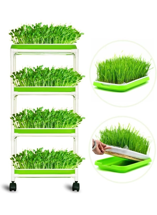 Generic 4 Layers Sprout Trays with Extra Strength Plastic Shelf Soil-Free Healthy Wheatgrass Seeds Grower  Storage Trays for Garden Home Office  - Image 5