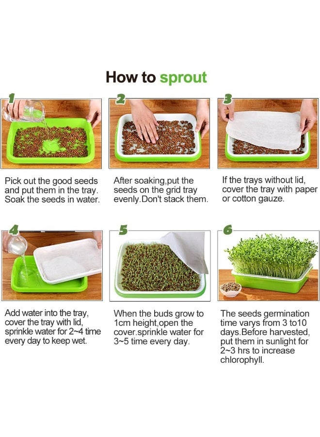 Generic 4 Layers Sprout Trays with Extra Strength Plastic Shelf Soil-Free Healthy Wheatgrass Seeds Grower  Storage Trays for Garden Home Office  - Image 4