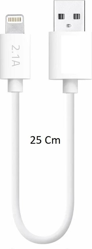 Apple iPhone Compatible Lightning USB Powerbank Fast Charging and Data Cable 2.1A 25CM Charging - pzsku/Z9141B7029174DA06AA41Z/45/_/1725895718/d9e22617-a853-44d2-a1fe-d1dc37c78a0b