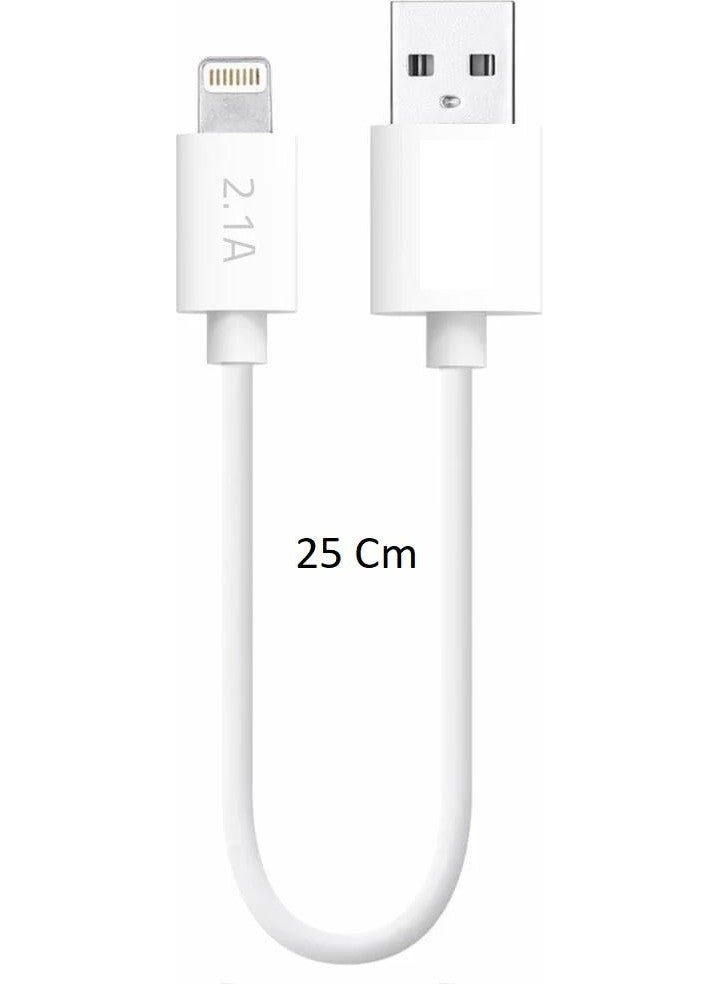 Hiqonic - Apple iPhone Compatible Lightning USB Powerbank Fast Charging and Data Cable 2.1A 25CM Charging - Image 1
