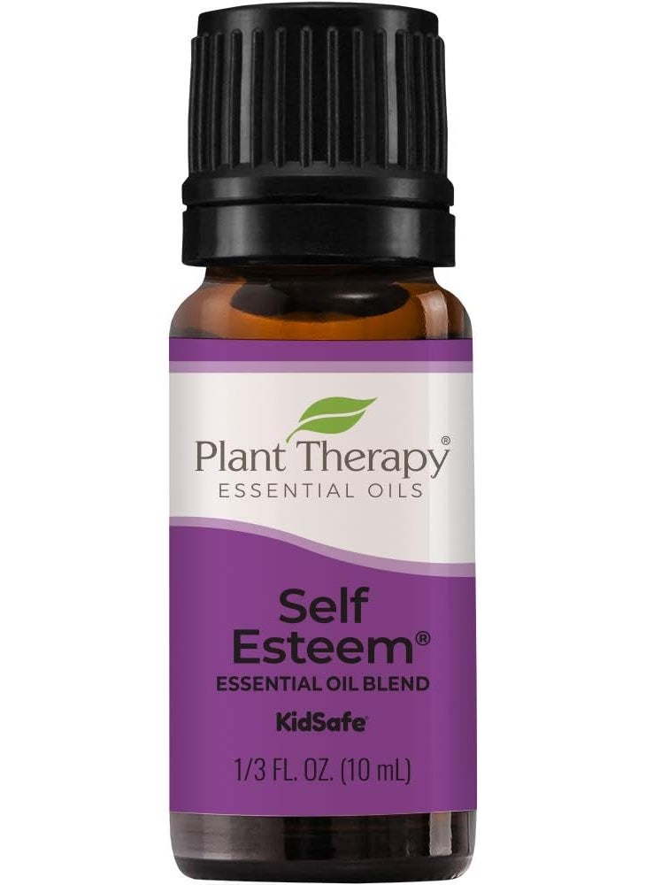 Plant Therapy Plant Therapy Self Esteem Essential Oil Blend 10 mL (1/3 oz) 100% Pure, Undiluted, Therapeutic Grade 