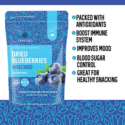 Herbaila Whole Dried Blueberries, No Sugar Added, Bulk, Dehydrated, Dried Unsweetened Blueberries, All Natural, Non-GMO, 1 Pound. - 16 oz. - Image 5