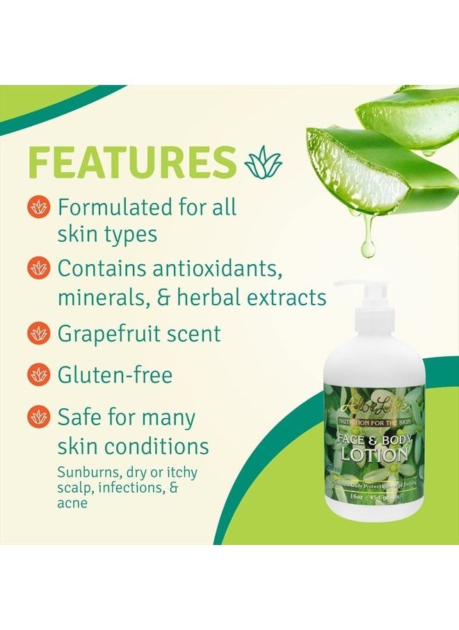 Aloe Life - Face & Body Lotion, Concentrated Formula, Hydrates Dry Skin, Contains Antioxidants, Minerals, & Herbal Extracts, Pleasant Grapefruit Scent, Safe For All Skin Types, Gluten-Free (16 oz) - Image 1