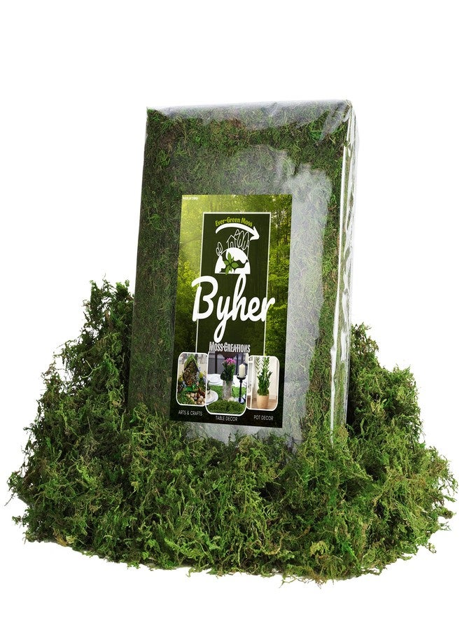 BYHER طحالب صناعية كبيرة الحجم من بايهر - 32 أونصة - طحالب صناعية بالجملة للنباتات الداخلية، حشو أصص النباتات الصناعية، الحرف اليدوية، ديكور حديقة الجنيات، نباتات الأصص الداخلية والخارجية (2 رطل من اللون الأخضر الطازج) - Image 1