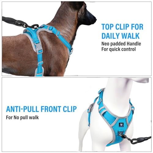 HANK Dog Harness | 3M Reflective Strap | Dog Body Vest for Medium Dogs | Soft Comfortable Padded | Anti Pull Harness for Walking, Training (Cyan Blue - Grey - M (14-22Kg) - Image 3