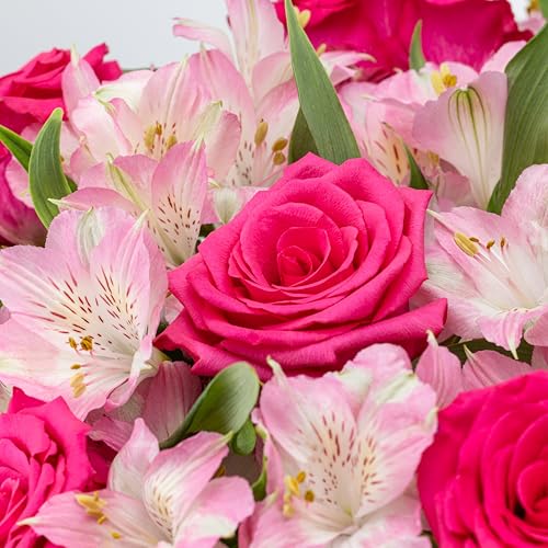 Benchmark Bouquets - Charming Roses & Alstroemeria (Glass Vase Included) - Fresh Flowers for Delivery - Gift for Graduation, Birthday, Anniversary, Sympathy, Get Well, Congratulations - Image 4