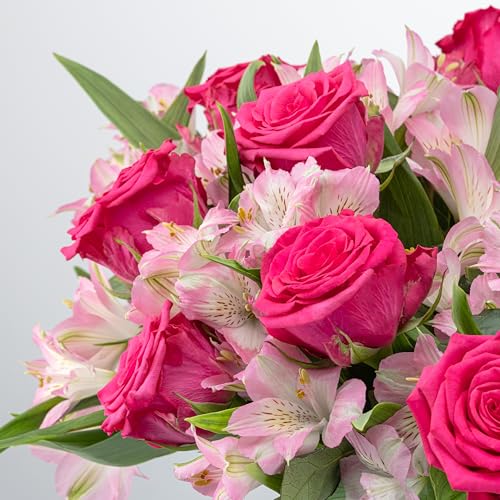 Benchmark Bouquets - Charming Roses & Alstroemeria (Glass Vase Included) - Fresh Flowers for Delivery - Gift for Graduation, Birthday, Anniversary, Sympathy, Get Well, Congratulations - Image 2