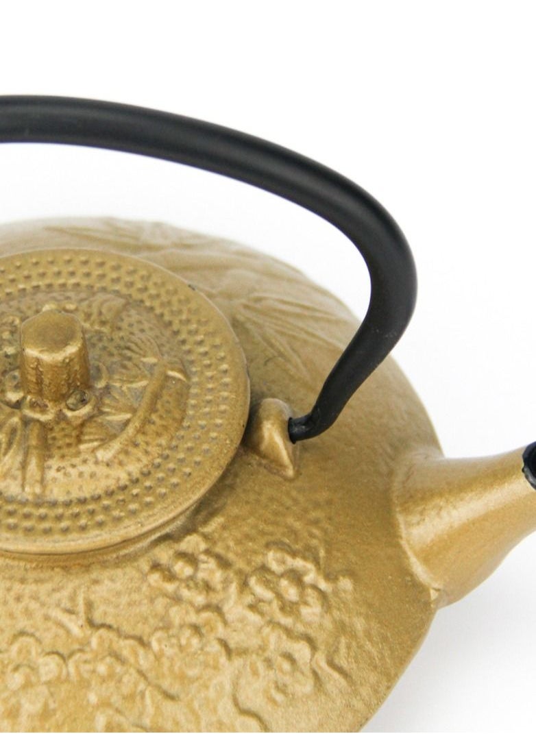 Tealand - Tea Lovers Delight Stylish and Functional Cast Iron Teapot with Infuser for Loose Leaf and Tea Bags 0.65L Gold - Image 1