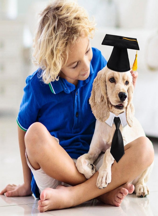 FOIMAS Dog Graduation Hats,Pet Graduation Caps Adjustable with Yellow Tassel and Necktie Collar for Dog Cat Graduation Hats Costume Accessory - Image 5