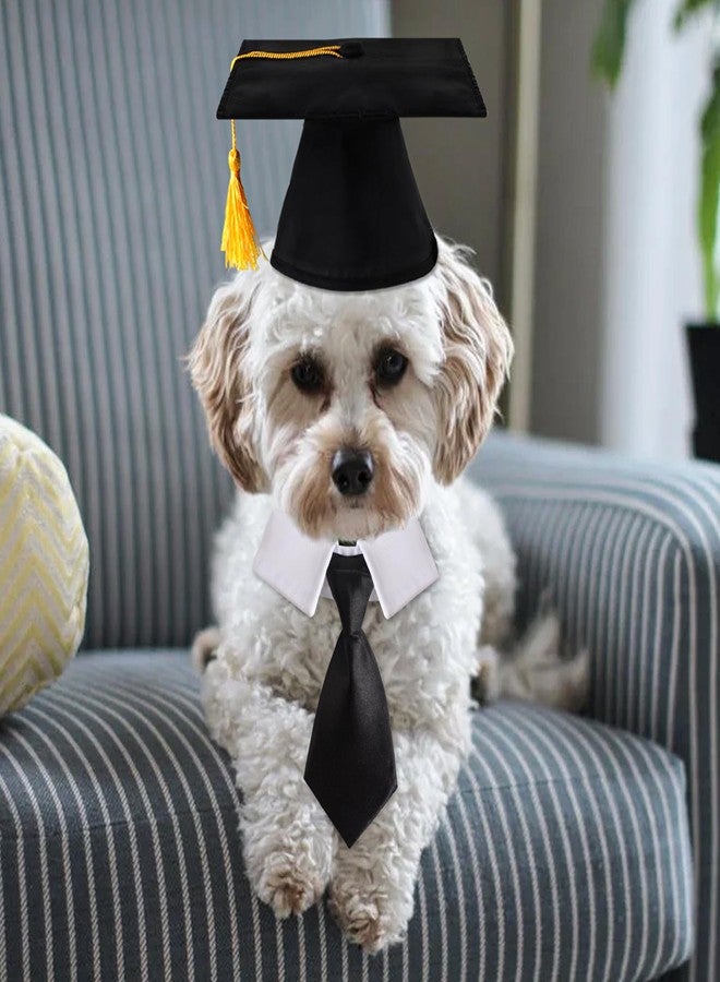 FOIMAS Dog Graduation Hats,Pet Graduation Caps Adjustable with Yellow Tassel and Necktie Collar for Dog Cat Graduation Hats Costume Accessory - Image 4