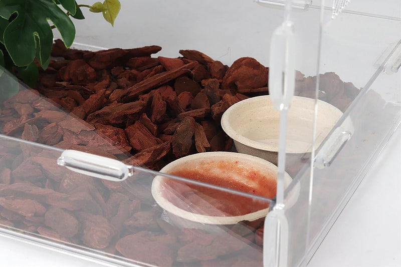 CRITTZOO 100Pcs 1oz Biodegradable Crested Gecko Food Cups fit Reptile Food Dish or Water Bowl - Image 4