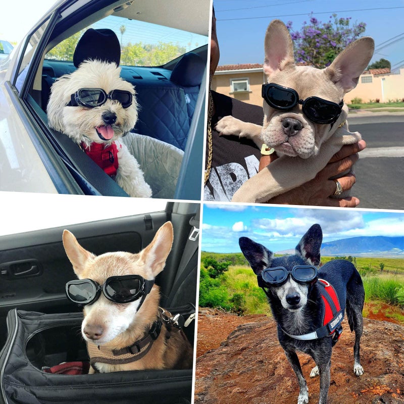 PETLESO Dog Sunglasses Small Breed, UV Protection Small Dog Goggles, Wind Dust Proof Small Goggles with Adjustable Straps, Black - Image 5