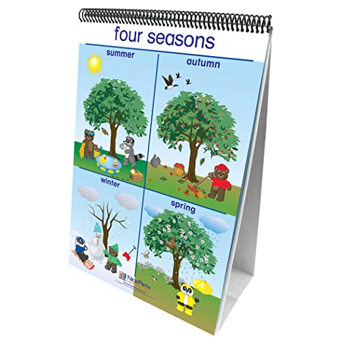 New Path Learning NewPath Learning-34-0024 Weather and Sky Curriculum Mastery Flip Chart Set, Early Childhood - Image 1