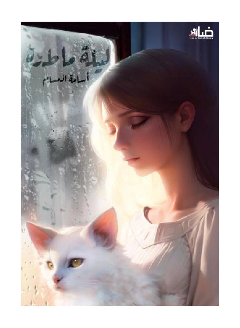 Rainy Night - Osama Al-Muslim 