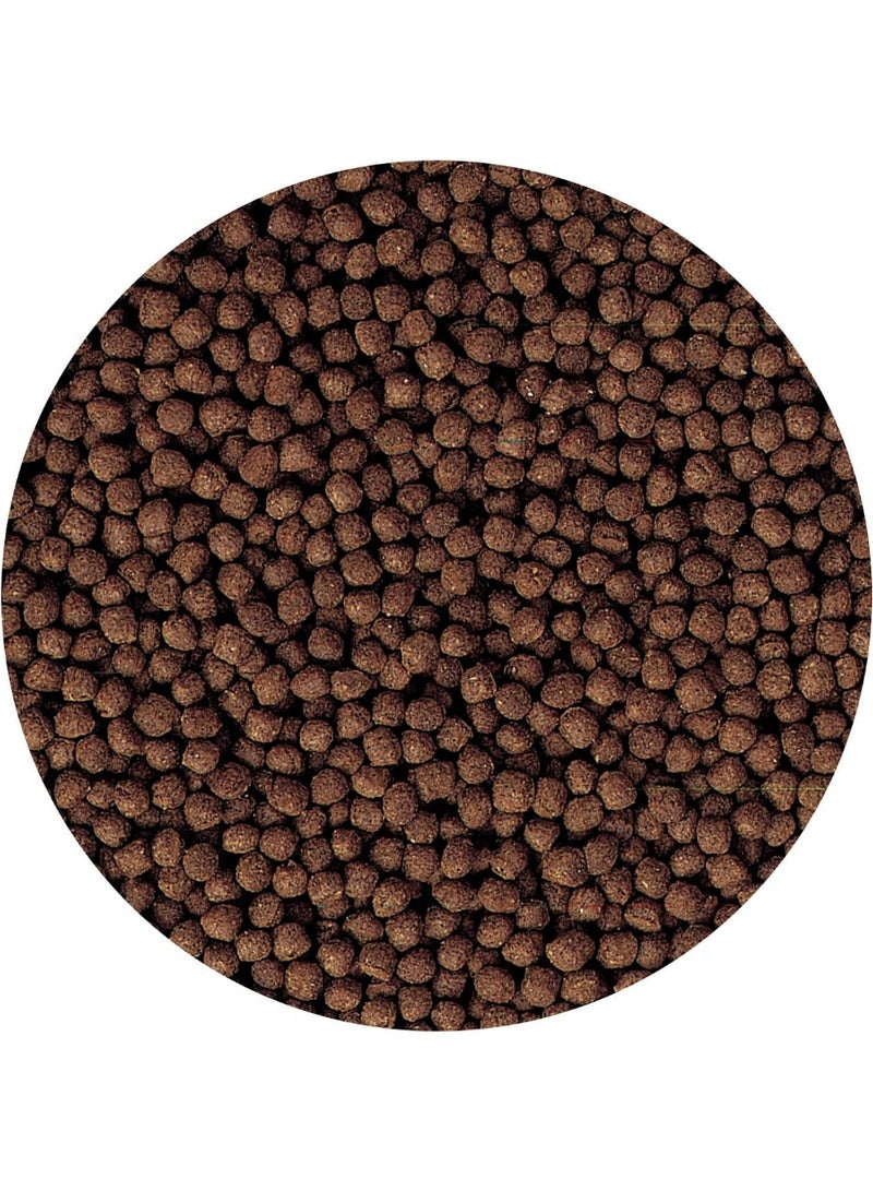 هيكاري طعام أسماك هيكاري سيشليد بيو-جولد + حبيبات صغيرة عائمة (57 جرام) - Image 4