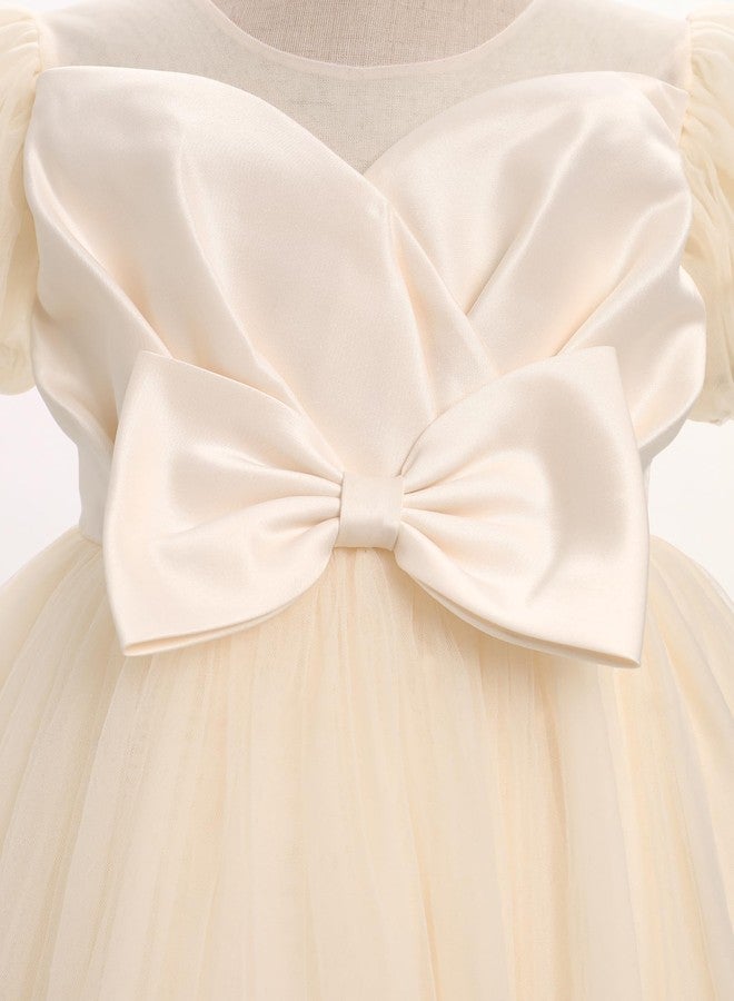 OBEEII Girls Birthday Tulle Dress Toddler Pageant Party Ball Gown Formal Baptism Tutu Dress Short Sleeve Cake Smash Photoshoot Outfit Wedding Elegant First Christening Dress Champagne 18-24 Months - Image 4
