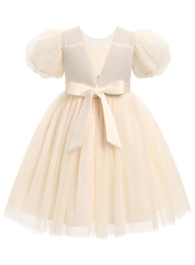OBEEII Girls Birthday Tulle Dress Toddler Pageant Party Ball Gown Formal Baptism Tutu Dress Short Sleeve Cake Smash Photoshoot Outfit Wedding Elegant First Christening Dress Champagne 18-24 Months - Image 3