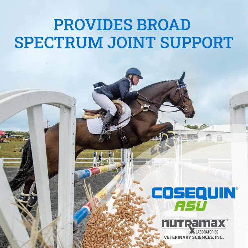 COSEQUIN Nutramax Cosequin ASU Pellets Joint Health Supplement for Horses - Pellets with Glucosamine and Chondroitin, 1420 Grams - Image 3