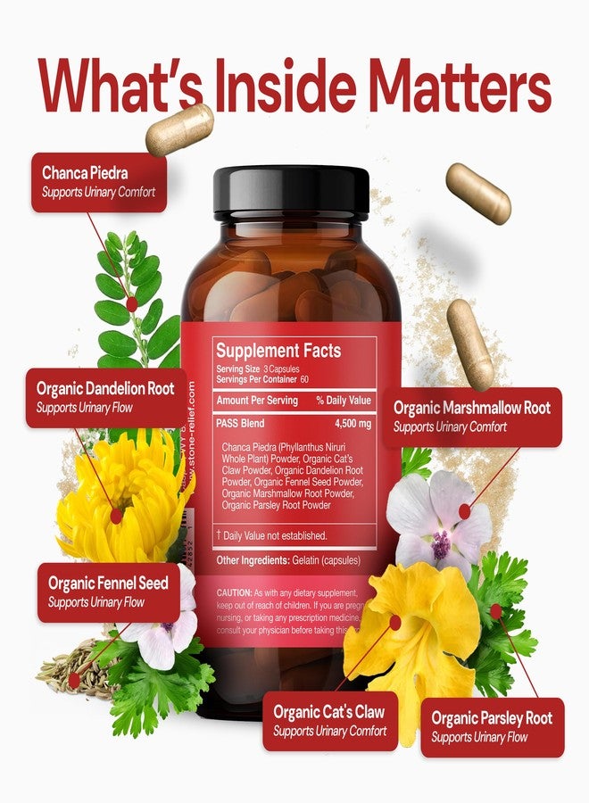STONE RELIEF Chanca Piedra Herbal Kidney Support – Daytime Formula for Urinary Flow, Hydration & Routine Use | 180 Capsules - Image 5