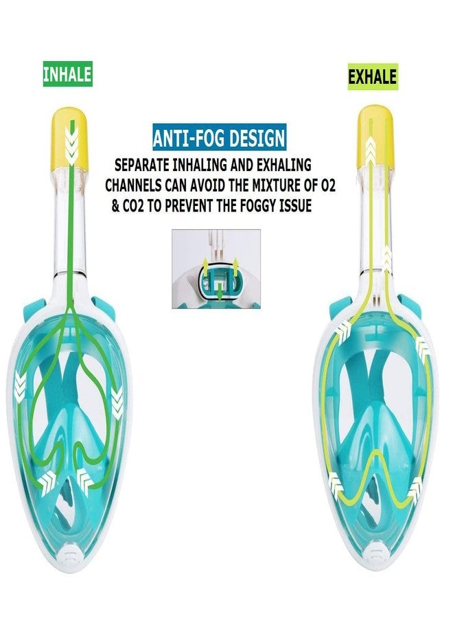 Olpad Full Face Snorkel Mask with Breathing System, Natural & Safe Snorkeling Experience, Foldable 180 Degree Panoramic View Anti-Fog Anti-Leak Snorkel Set Green (L/XL) - Image 5
