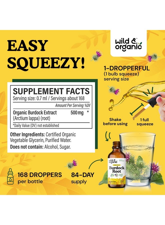 Wild & Organic صبغة جذر الأرقطيون البرية والعضوية - مكمل سائل لمضادات الأكسدة، إزالة السموم، دعم الهضم - قطرات عشبة الأرقطيون - نباتي، خالي من السكر والكحول - 4 أونصة سائلة - Image 3