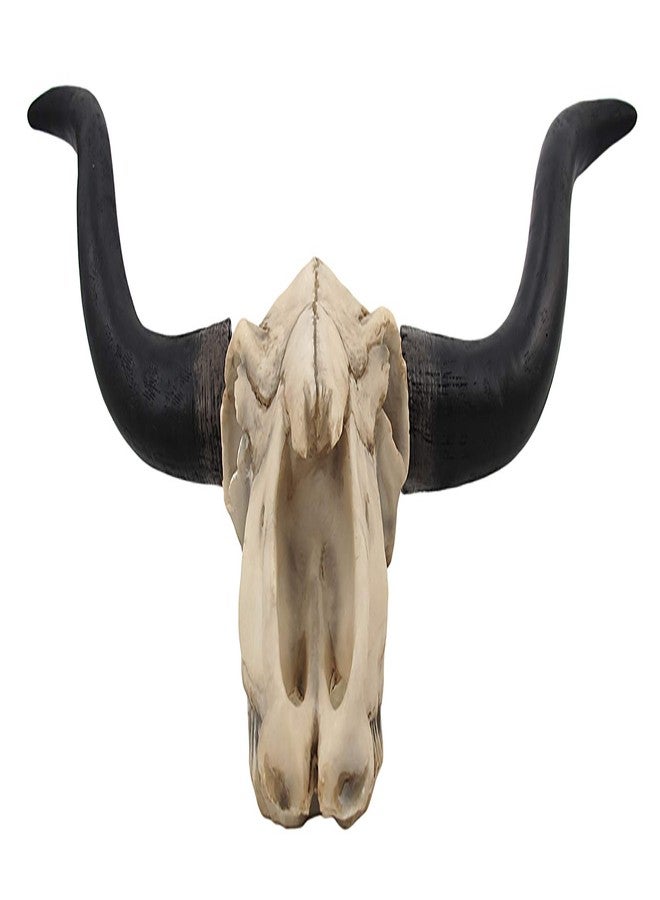 Things2Die4 Long Horn Cow Skull Wall Hanging Longhorn Steer - Image 2