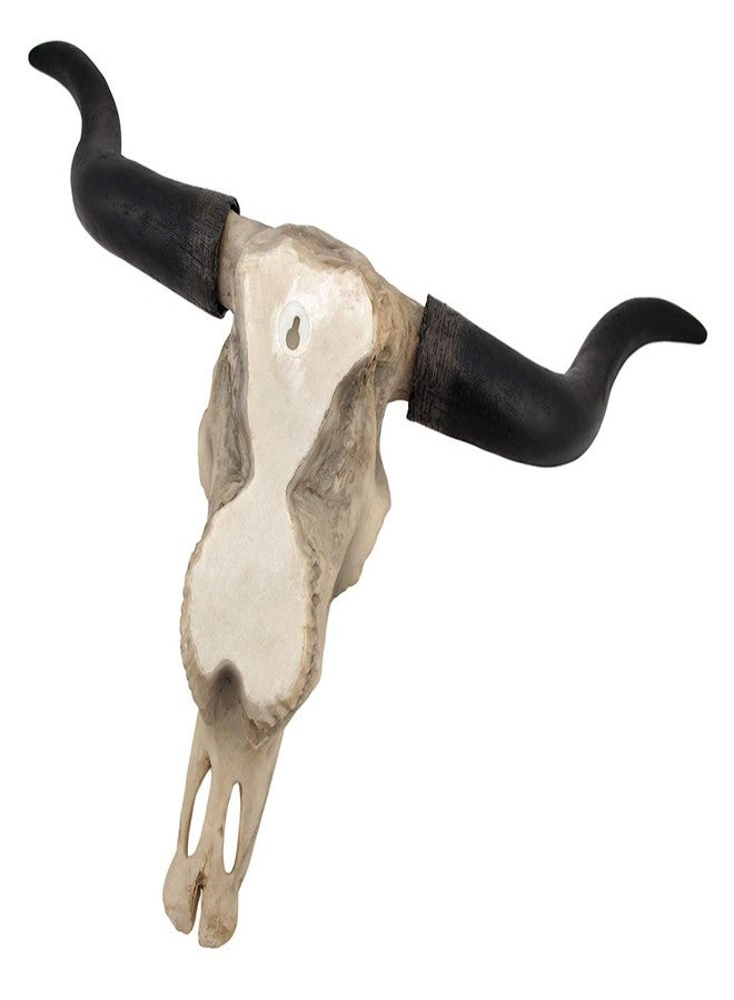 Things2Die4 Long Horn Cow Skull Wall Hanging Longhorn Steer - Image 3