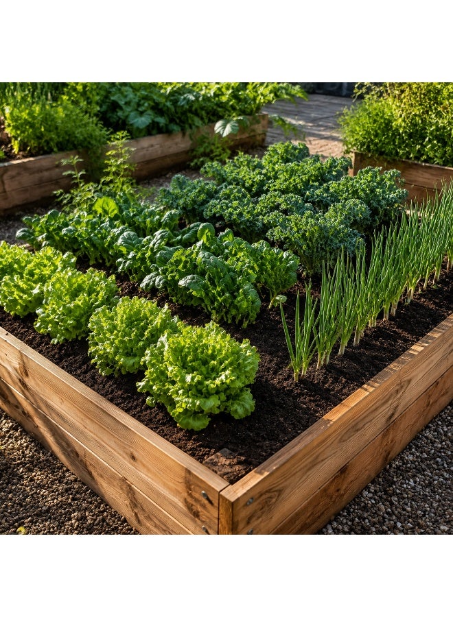vsell24 Organic Growing Mix Soil for Vegetables, Herbs, Pots, Containers & Raised Garden Beds - Image 5