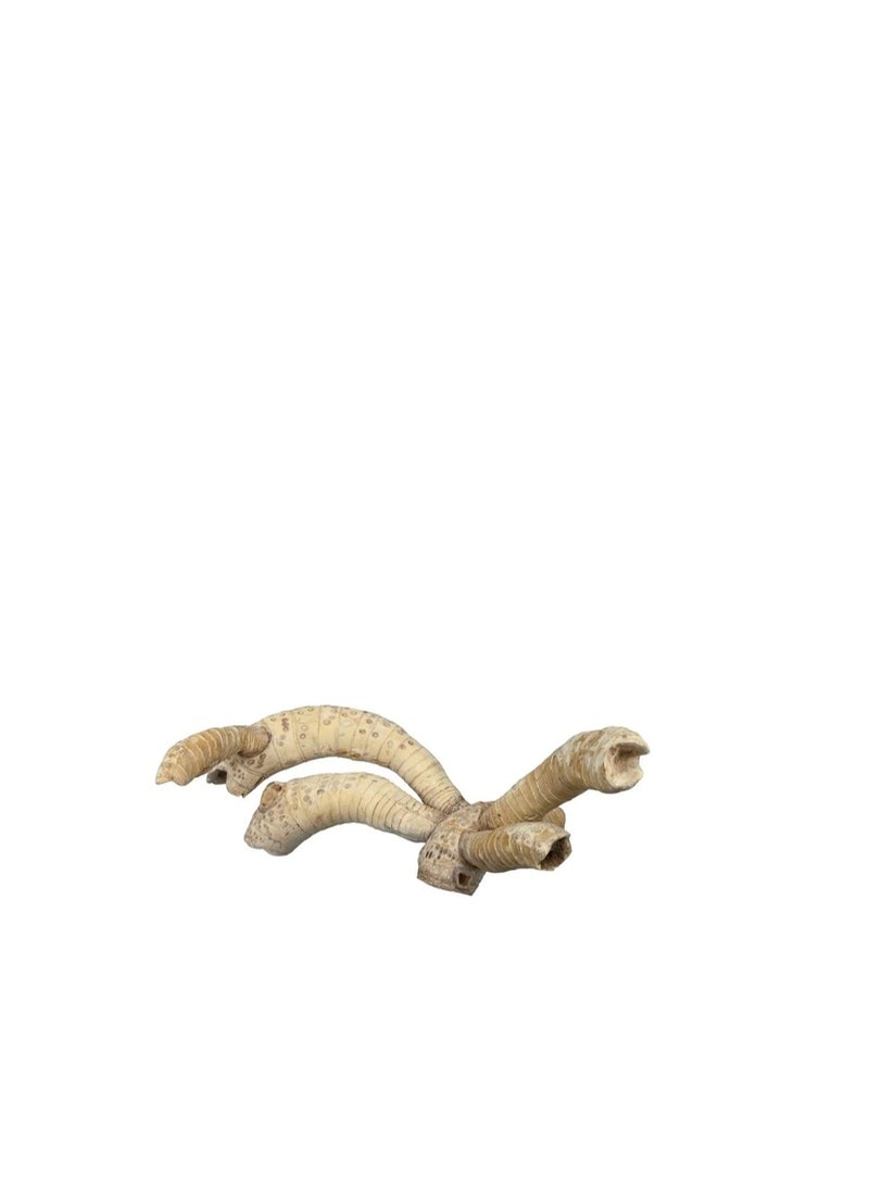 تريكسي جذور الخيزران تريكسي - Image 1