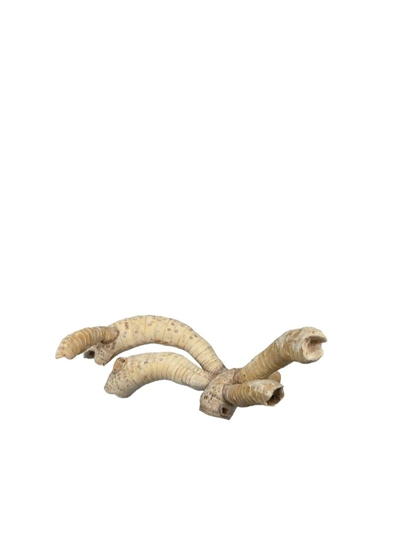 تريكسي جذور الخيزران تريكسي - Image 3