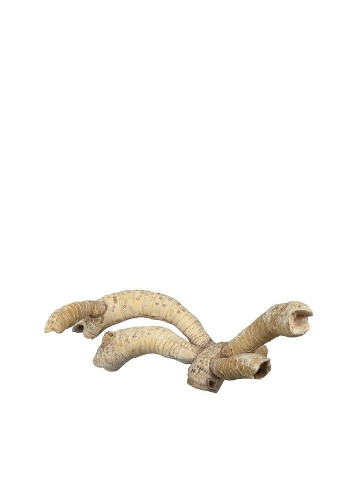 تريكسي جذور الخيزران تريكسي - Image 2