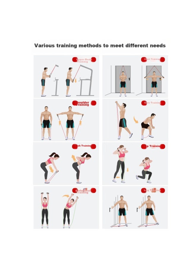 PROIRON Proiron Pull-up Resistance Bands, Elastic Bands, Resistance Straps, Elastic Bands, All-in Level 12-piece Set  - Image 2