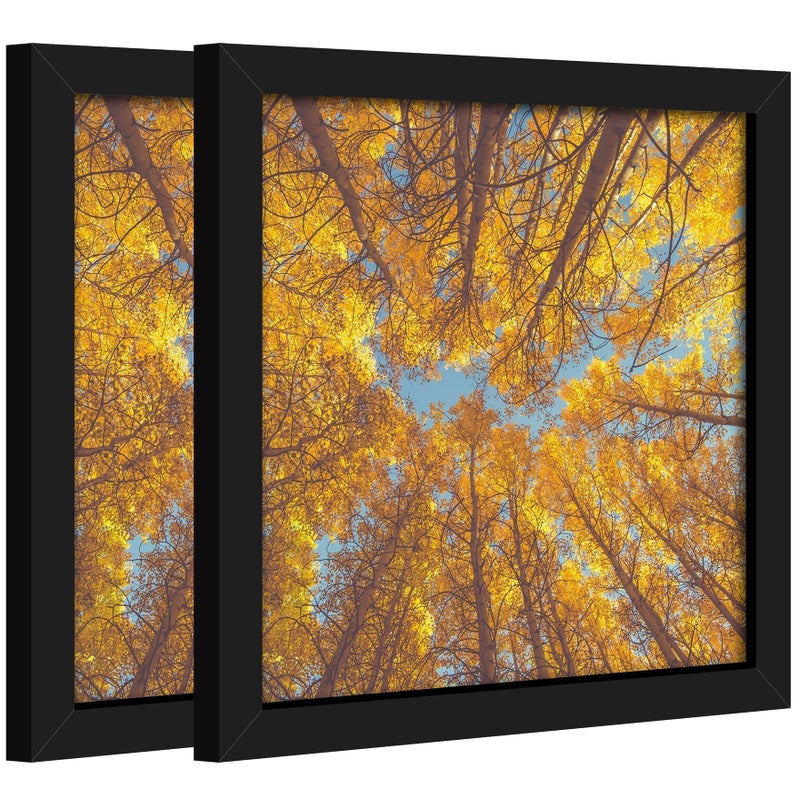 Medog 8x8 Picture Frame Black Diploma Certificate Frame Display Pictures 8x8 Square Frame 2 Pack