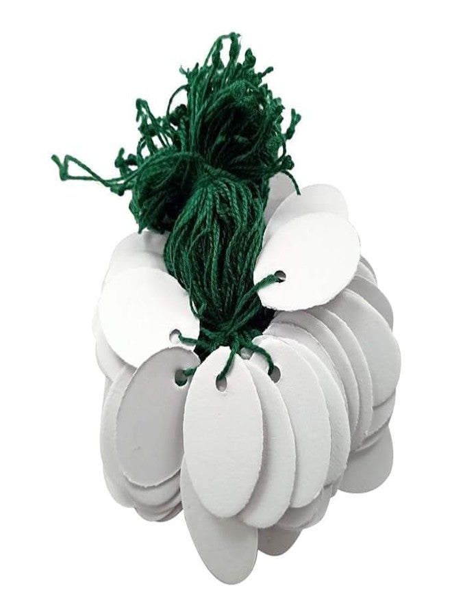 MOREL TIE Label Paper TAG for Jewellery Retail Shops Watch Kitchen Clothes Content Label, Goods Price TAG, ETC. (Pack 1000 PCS, Green) (Green) - Image 3