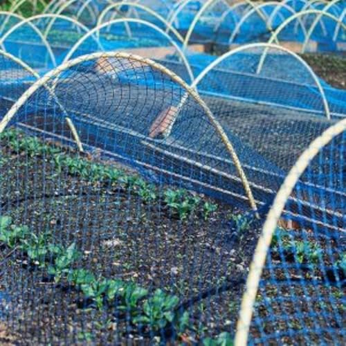 RK Trends Bird Netting | Heavy-Duty Anti-Bird Protection for Garden, Fruit Trees, and Vegetables | Durable Blue (10 x 300) - Image 4
