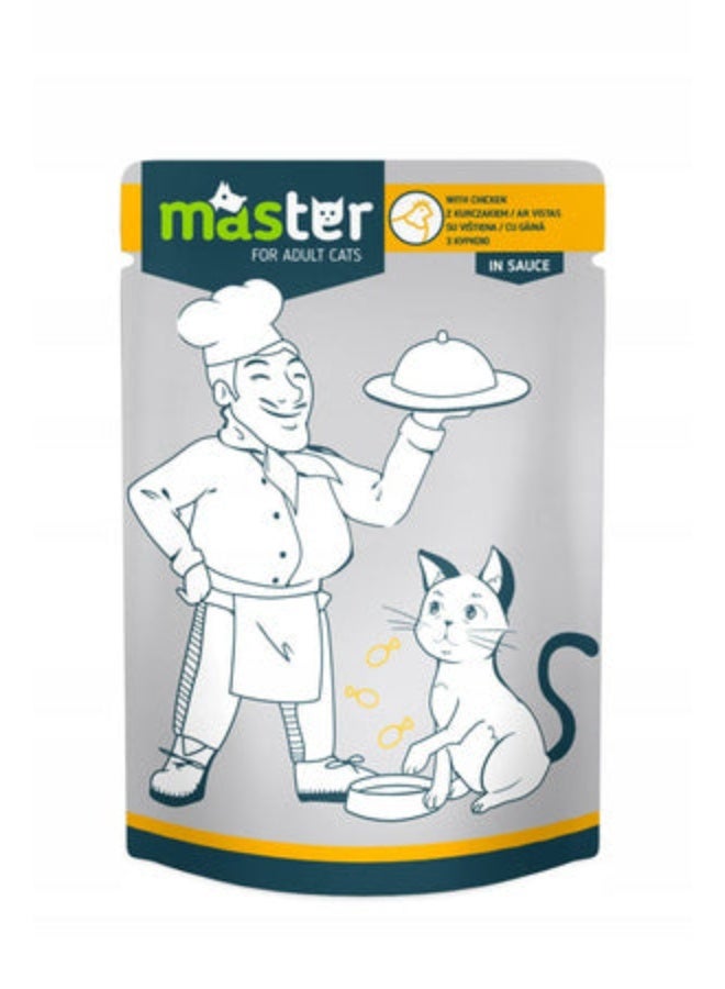 ماستر طعام رطب للقطط البالغة بقطع الدواجن في المرق 80 جم من فارماسي