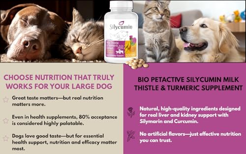 Bio PetActive Silycumin Milk Thistle & Turmeric Supplement for Cats & Small Breed Dogs - Advanced Liver & Kidney Support with Silymarin and Curcumin, Detox & Antioxidant Formula - 100 Chewable Tablets - Image 5