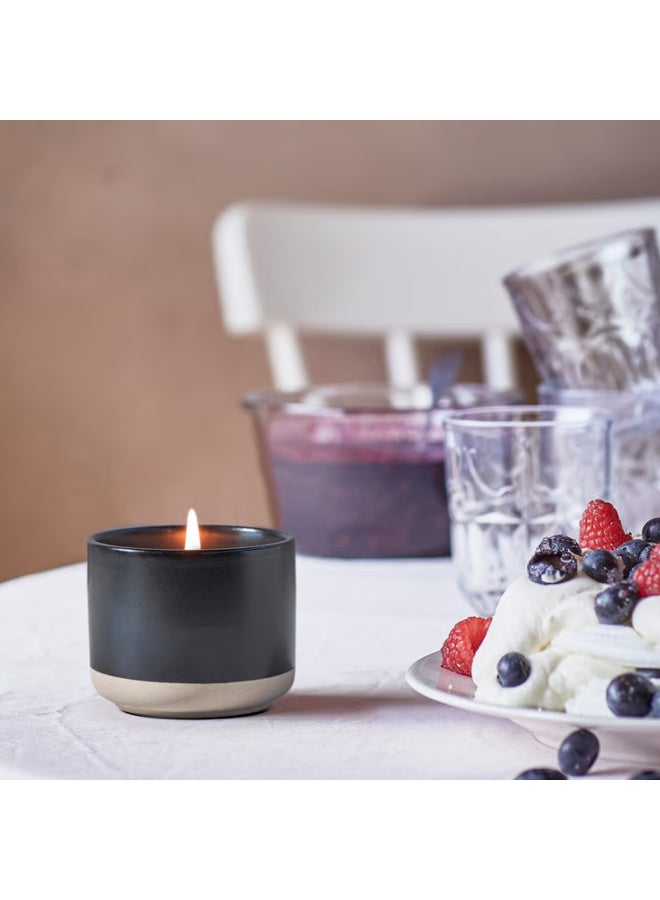 Scented Candle in Ceramic Jar, Berries, Black, 25 Hour Burn Time Berry and Violet Fragrance Candle with Leafy Green Notes for Home Decor, Relaxation and Ambience - Image 3