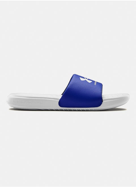 Ansa Fix Slides