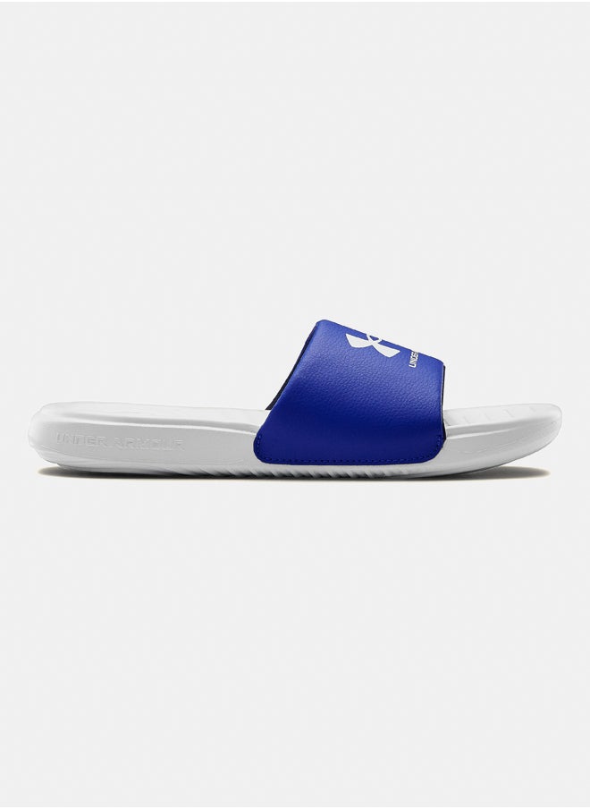 Ansa Fix Slides