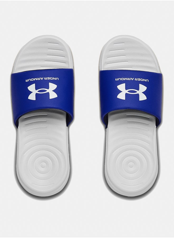 Ansa Fix Slides