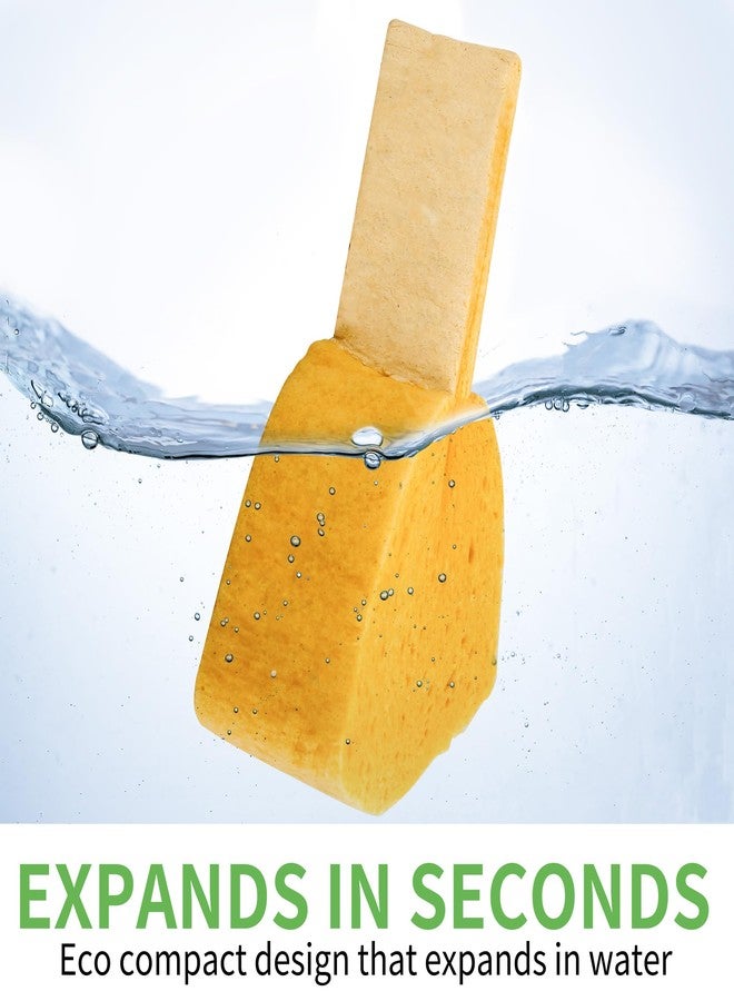 kickleen 4 Pack Compostable Thicker Pop-Up Sponges - Expanding, Non-Scratch, Plant-Based Dish Cellulose Sponges Car Wash Sponge - Image 3