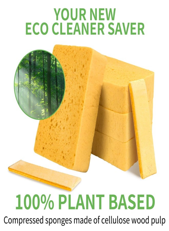 kickleen 4 Pack Compostable Thicker Pop-Up Sponges - Expanding, Non-Scratch, Plant-Based Dish Cellulose Sponges Car Wash Sponge - Image 5